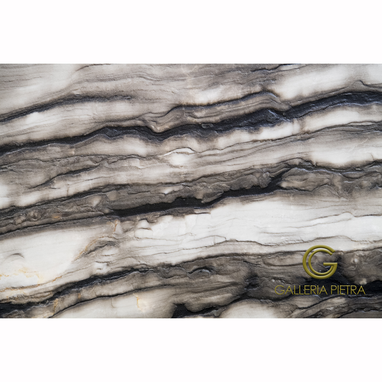 GGP_0951 Capucino close up - wm