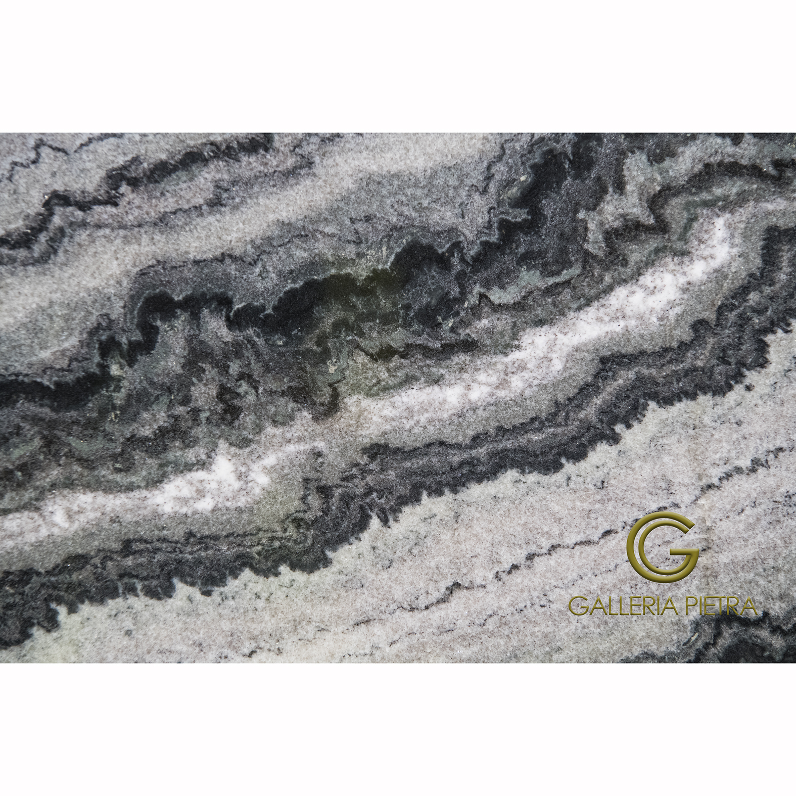 GGP_0954 Zebra Black - wm